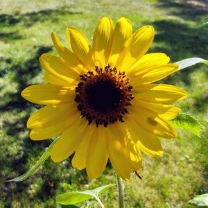 Meet your Posher, Jeff